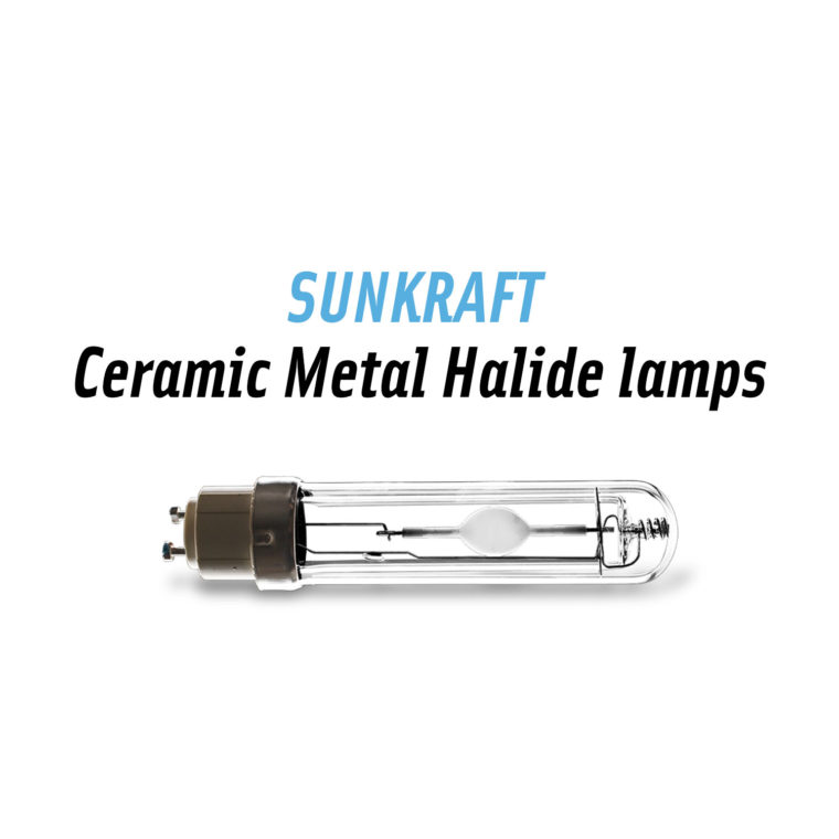Ceramic Metal Halide Lamps (CMH)