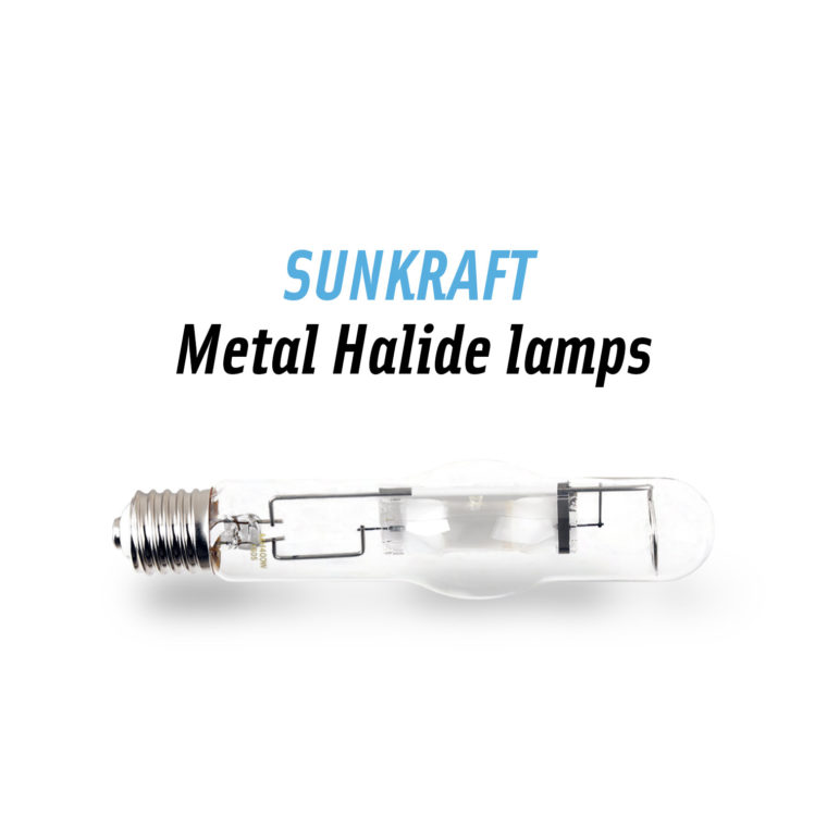 Metal Halide Lamps (MH)